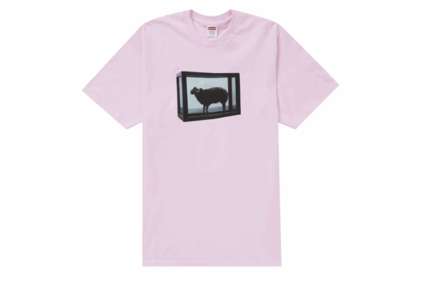 Supreme Damien Hirst Tee Light Pink