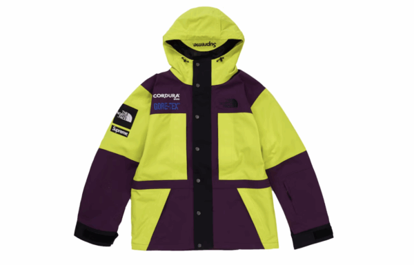 Supreme The North Face Expedition (FW18) Jacket